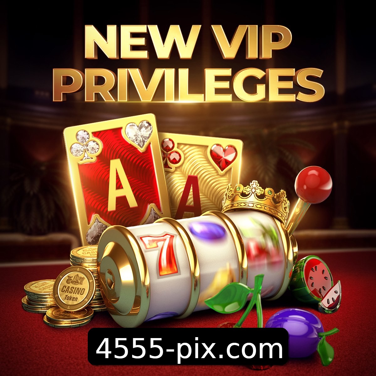 Programa VIP 4555